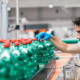 Male worker in bottling factory checking water bottles before shipment
